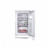 Iceking RZ204W White, Tall Freezer 170Lt 144H 55W